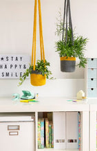 Cotton Jersey 100g/74m