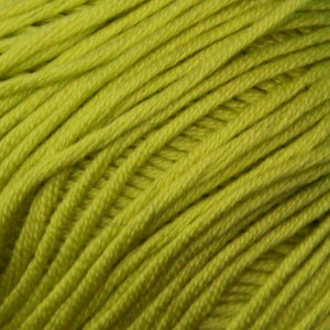 Egitto 50g/124m