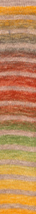 4-kordne sokilõng Paint Sock 100g/420m